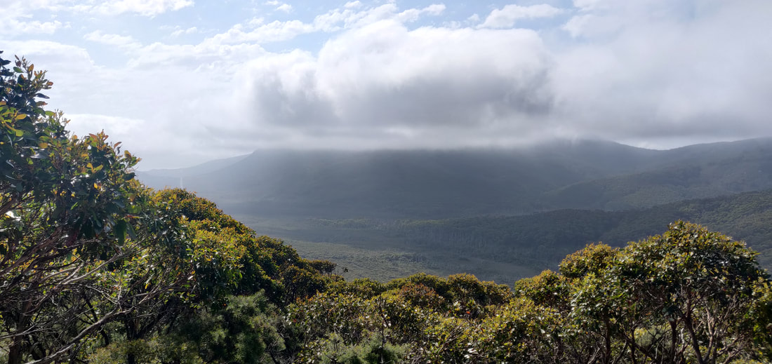 Telegraph Saddle viewing platform